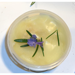 Healing Honey Skin Salve ~ 4 oz tin (other sizes available below)